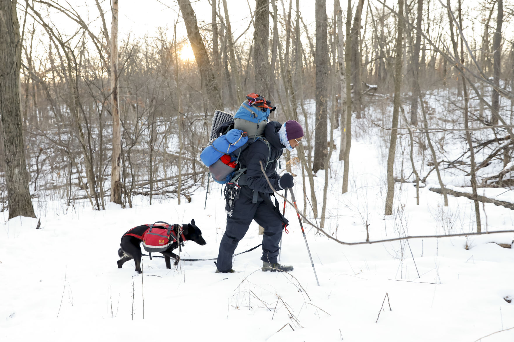 Ice Age Winter Hiker 012221 03-01252021091249